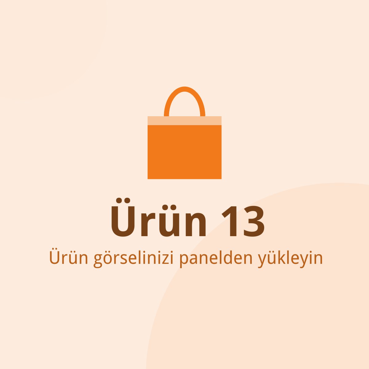 Ürün 13